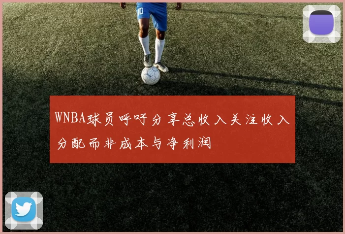 WNBA球员呼吁分享总收入关注收入分配而非成本与净利润